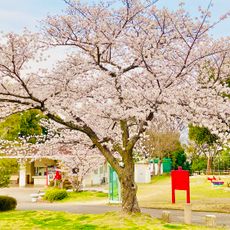 小松中央公園