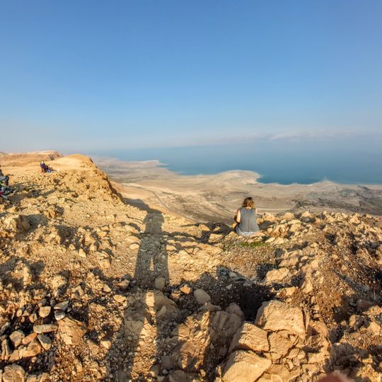 Punto di vista panoramico