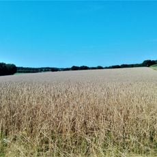 Hombach - Finkenbach - Klosterbach