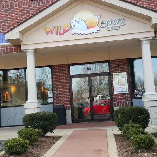 Wild Eggs