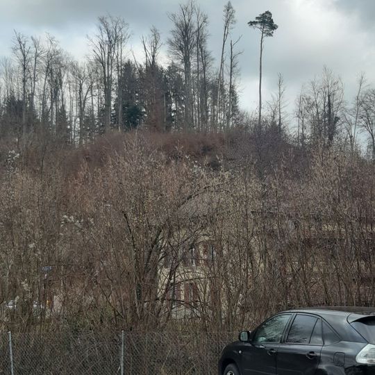 Burgstelle Aathalrain