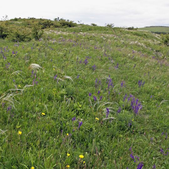 Kamenný vrch u Kurdějova