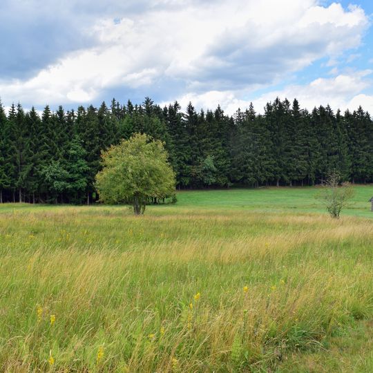 Kammerschlager Flachmoorwiese