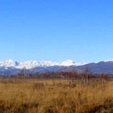 Riserva naturale della Vauda