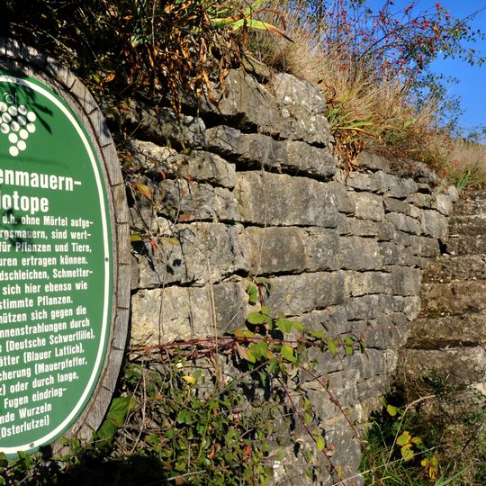 Weinlehrpfad Beckstein