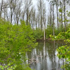 Feuchtgebiet Maxhütte