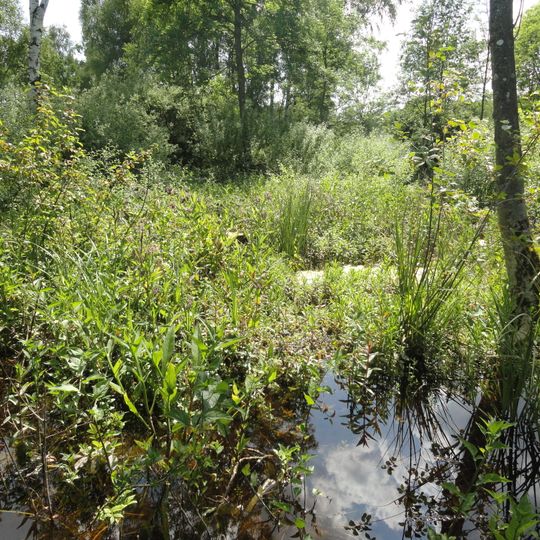 Marais d'Athis-Cherville