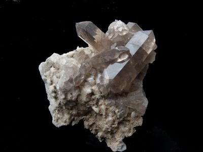 Immagine alternativa