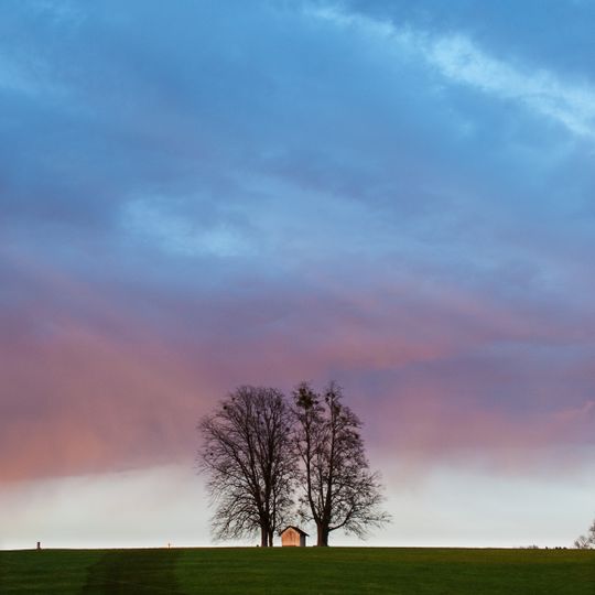 "4 Kapellenlinden" bei der Maria Hilf Kapelle