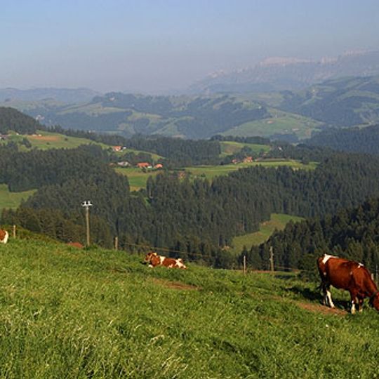 Emmental