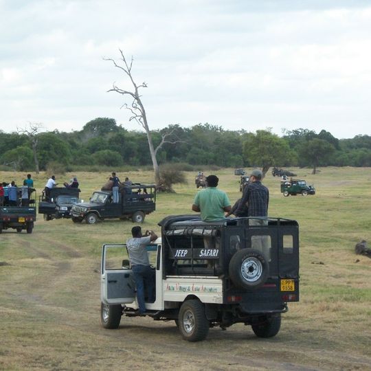 Parco nazionale di Minneriya