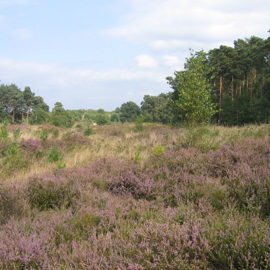 Vogelschutzgebiet Wahner Heide