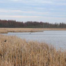 Mer Bleue Conservation Area