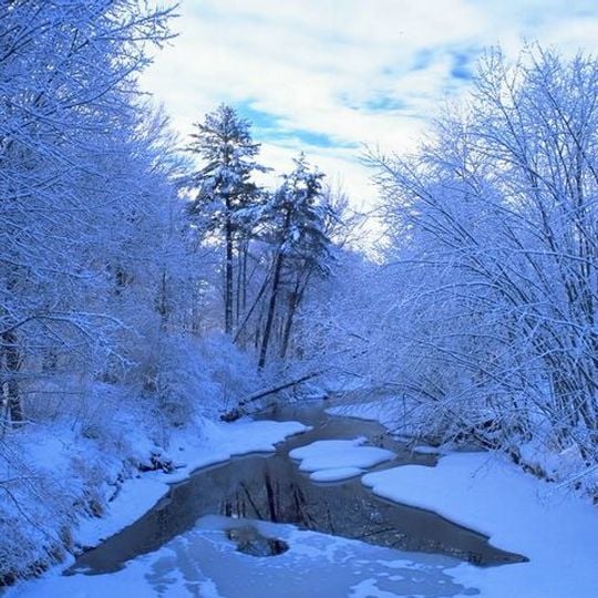 Privolshky Les Nature Reserve