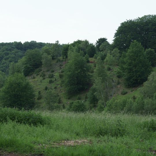 Naturschutzgebiet Kleiner Mehlberg