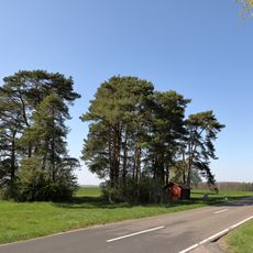 Baumgruppe mit Flachmoorstellen Standorfer-Laube, Heide
