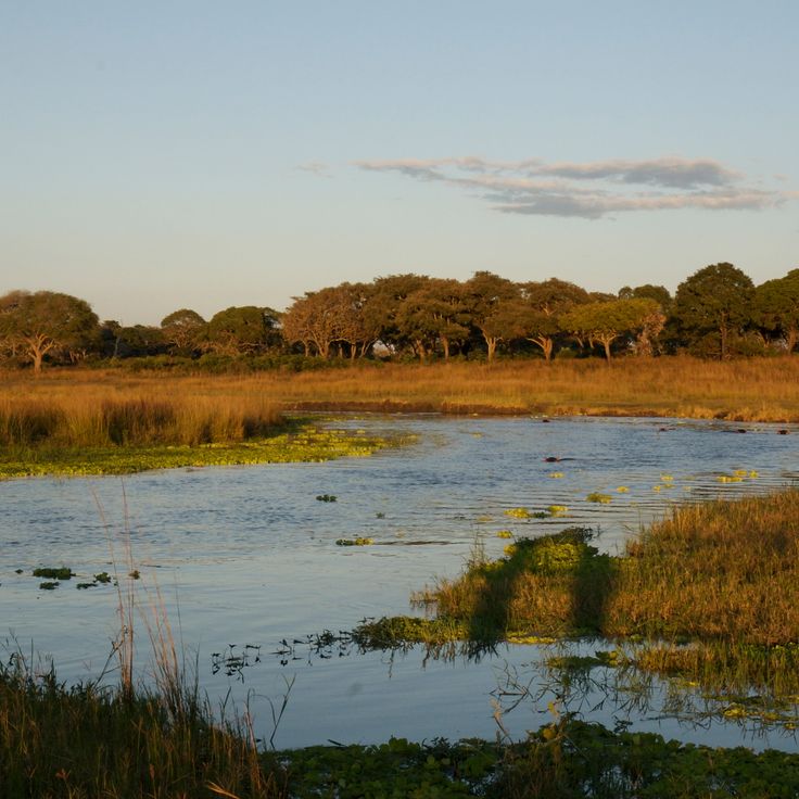 Katavi nasjonalpark