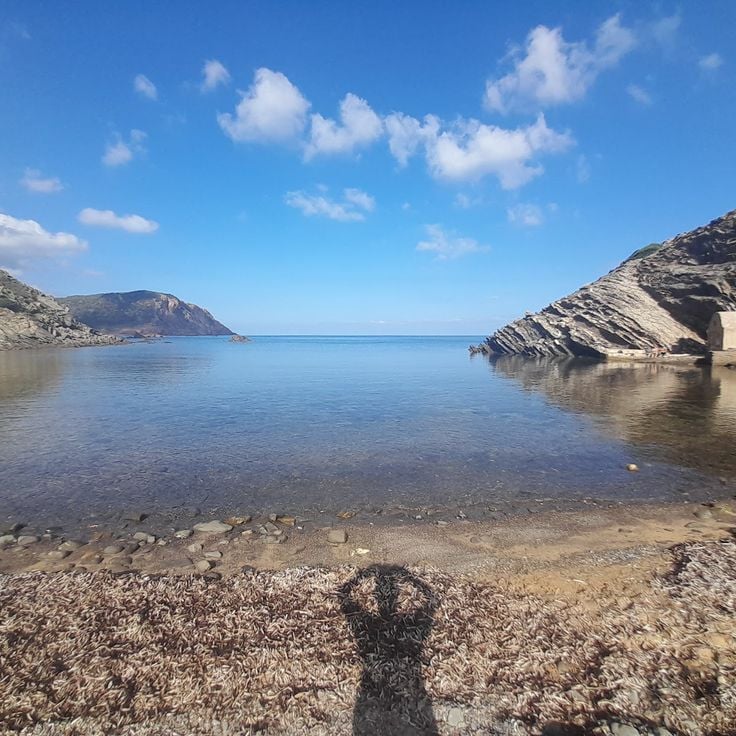Els Alocs strand