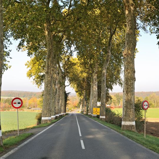 Allee um Quatre-Vents