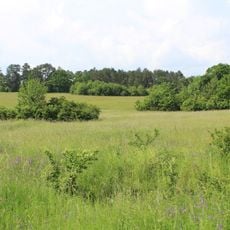 Brachenleite bei Tauberbischofsheim