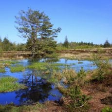 Bordelumer Heide und Langenhorner Heide mit Umgebung