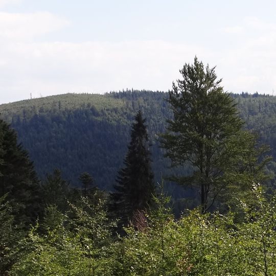 Wielki Gibasów Groń