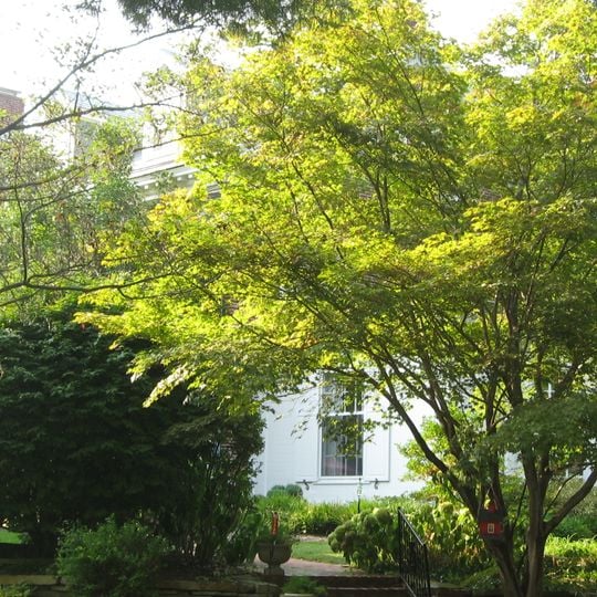 Bernardin-Johnson House