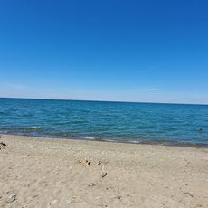 Barcelona Beach and Dan Reed Pier