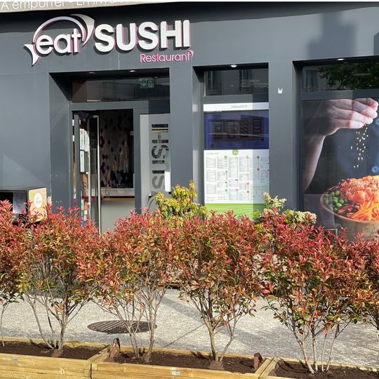 Eat Sushi