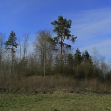 Klaņģu kalns - pilskalns