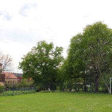 Sommerlinden Grünäcker