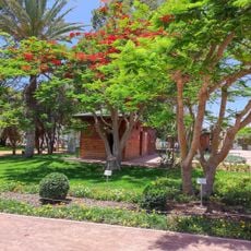 Ibn Zaidoun Garden