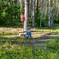 Братская могила советских воинов, погибших в годы советско-финляндской войны (Питкярантское г.п.)