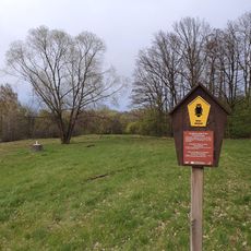 Orchideenwiese am Quellhang