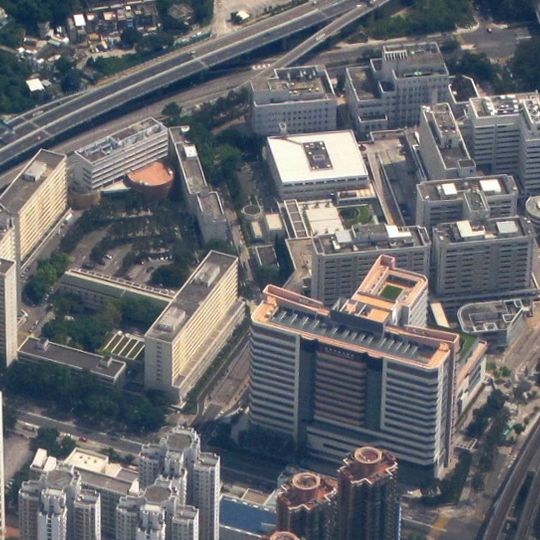 Prince of Wales Hospital