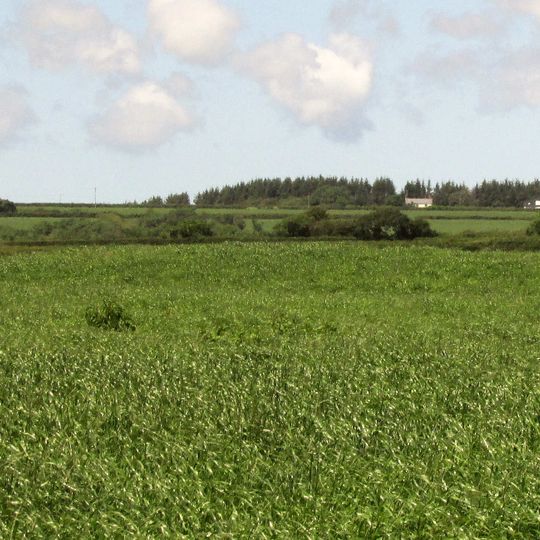 Bowl barrow on Ugworthy Moor 510m south of West Ugworthy House