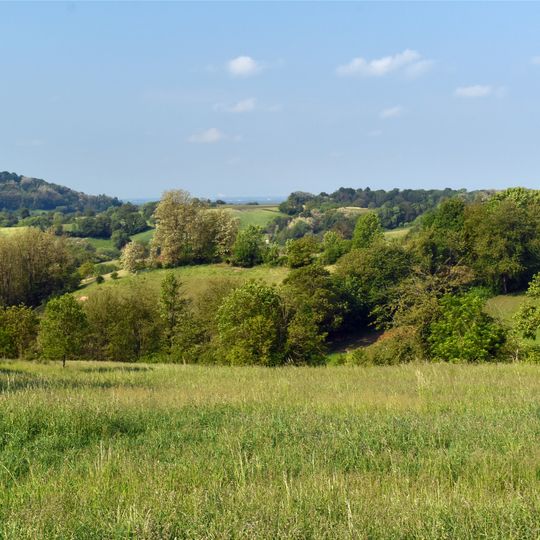 Magerrasen von Gronau mit angrenzenden Flächen