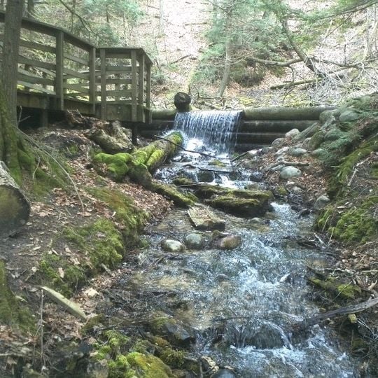 Iargo Springs