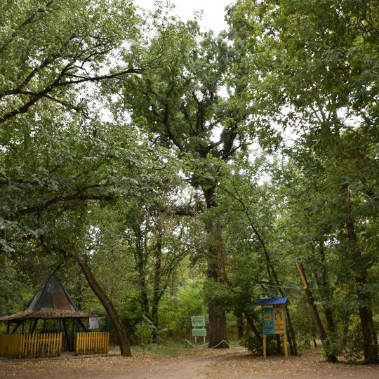 Kardamychivskyi park