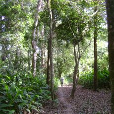 Isiboro Sécure National Park and Indigenous Territory
