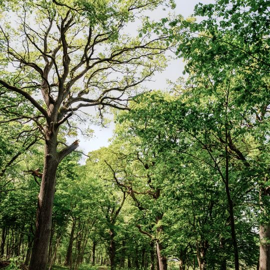 Prästamarken, Åstorps kommun