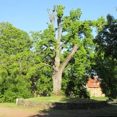 Linde Freilichtbühne