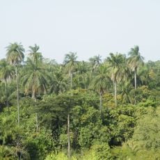 Makasutu Culture Forest