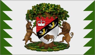 Flagga 4
