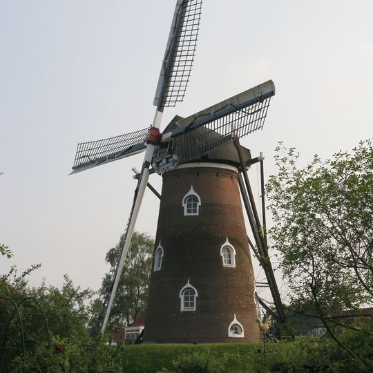 De Doornboom