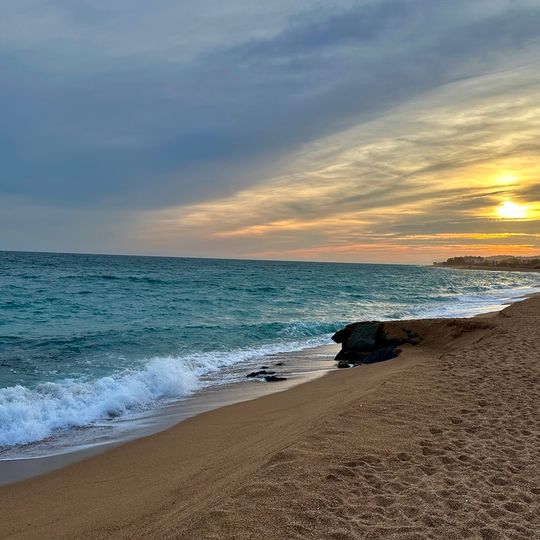 Zona dunar protegida