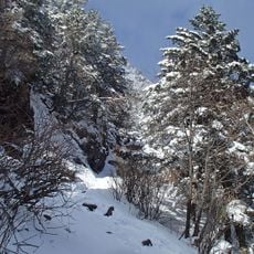 智異山