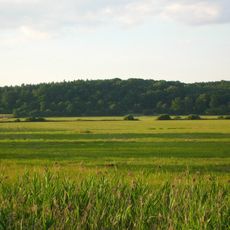 Nature reserve Las Minikowski