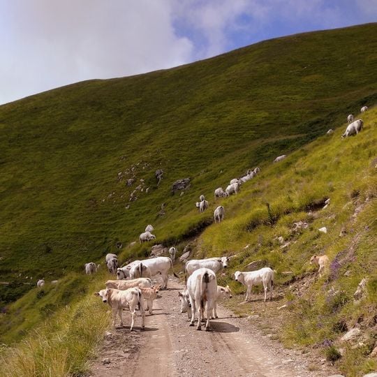 Monte Tanarello