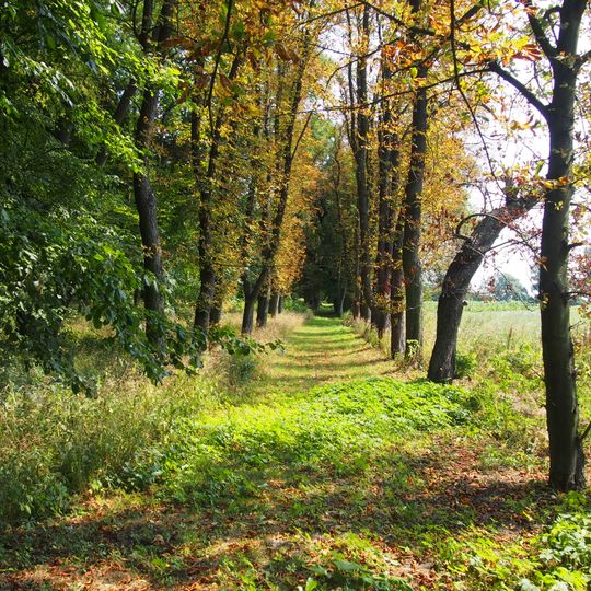 Manor park in Sichów Duży